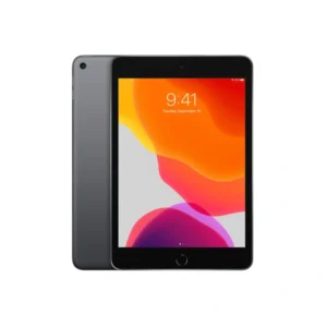 iPad mini 5, 64GB, Wi-Fi, A-Skick - Rymdgrå