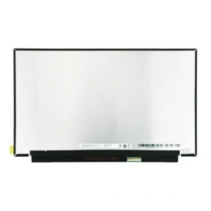Skärm, PC, 15.6", 40-pin (höger), FHD, 144Hz, Matt